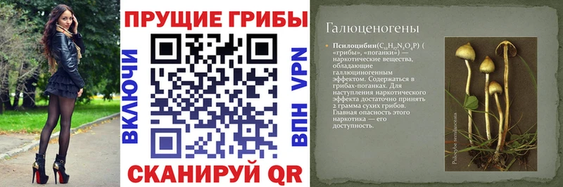 Псилоцибиновые грибы мухоморы  Калач-на-Дону 